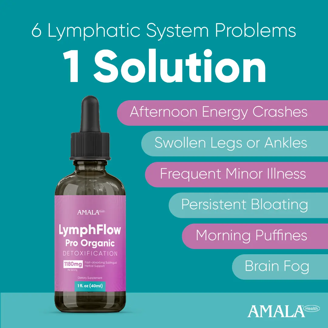 LymphFlow Pro - Image 3