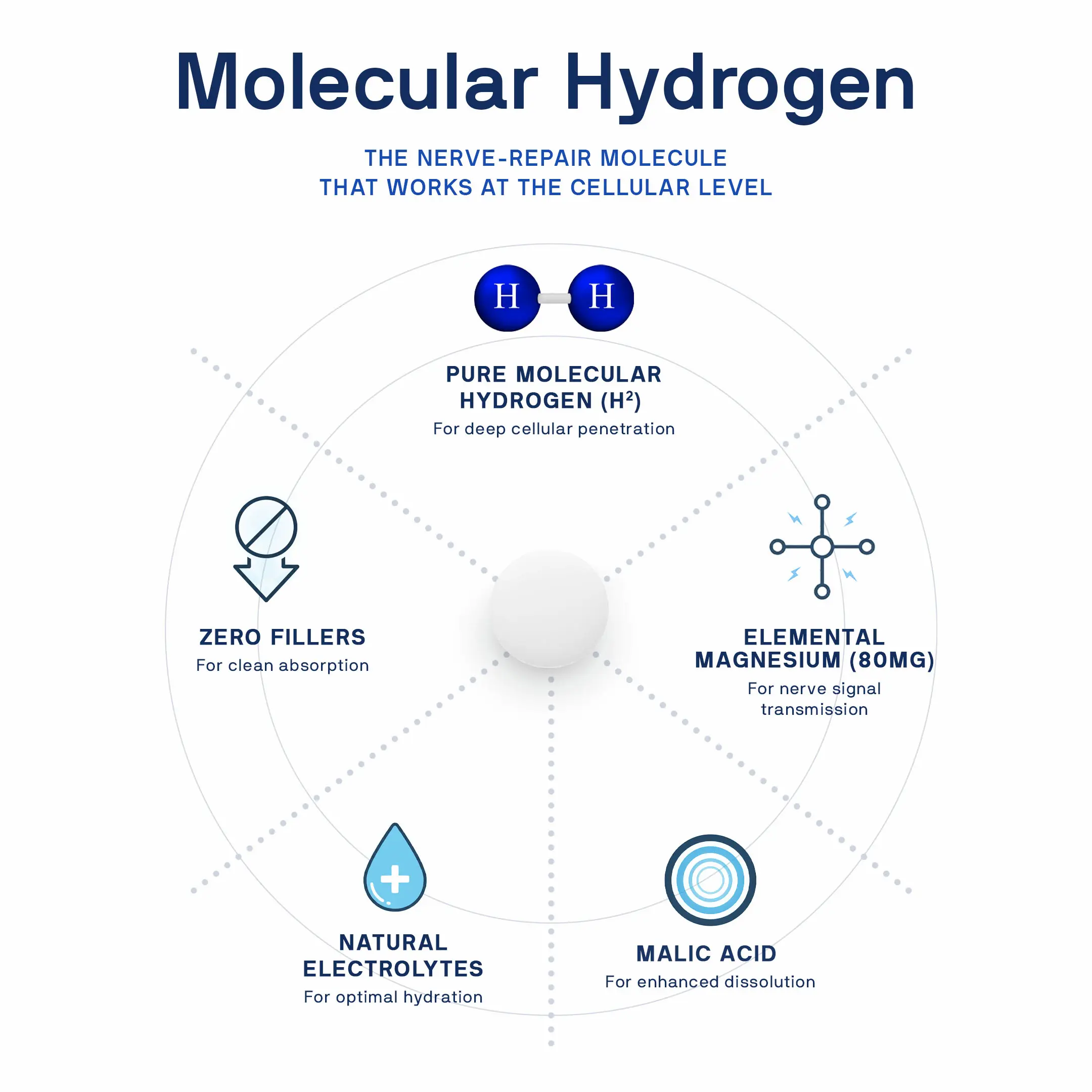 PrimeCell H2 - Image 5