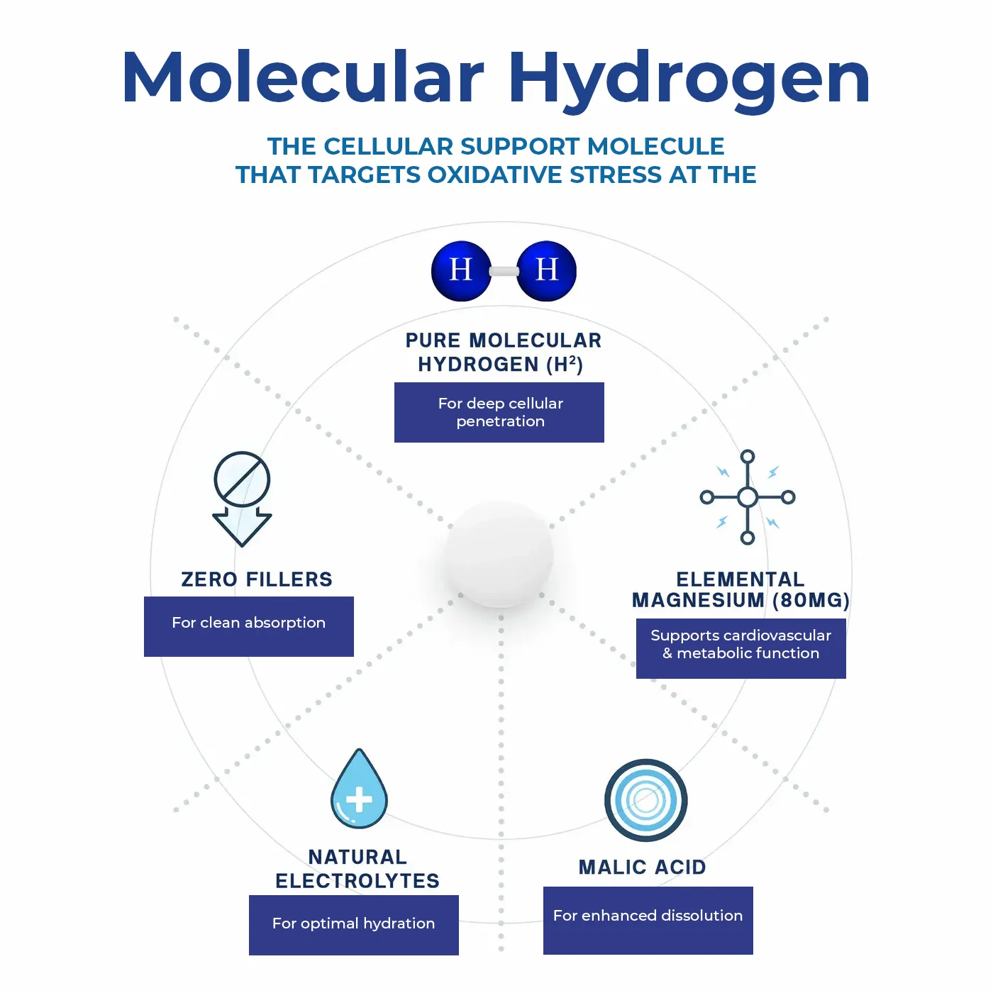 PrimeCell H2 - Image 5